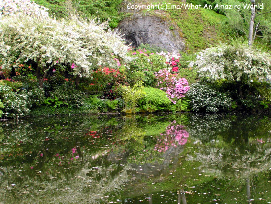 The Butcart Gardens