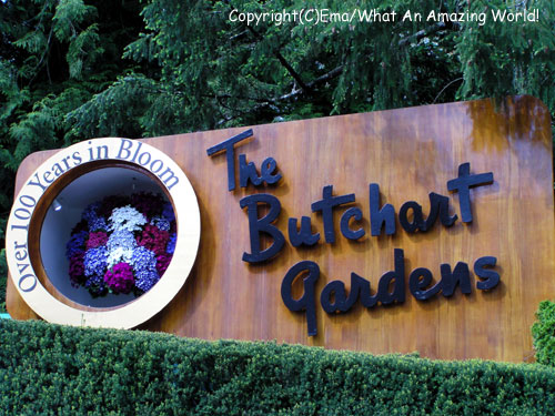 The Butcart Gardens